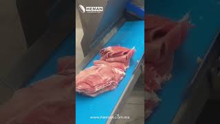REBANADORA DE CUCHILLA HM-25K