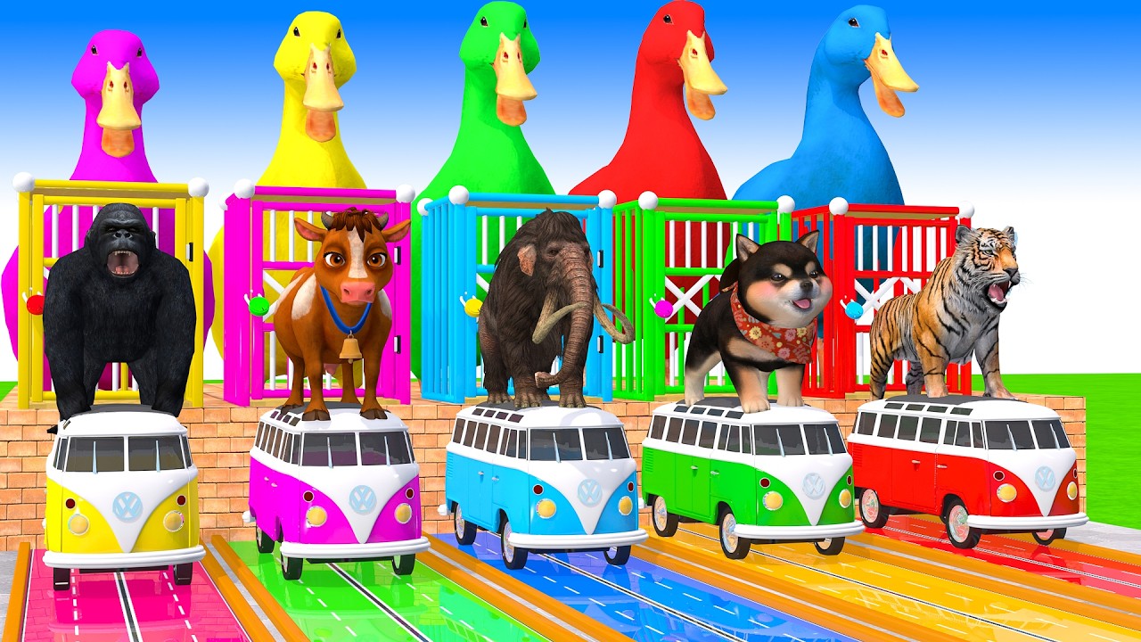 Long Slide Game With Cow Elephant Gorilla Hippopotamus Tiger - 3d Animal Game - Funny 3d Animals