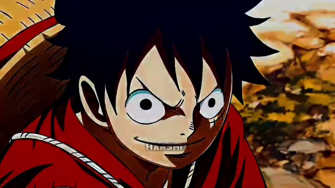 Luffy AMV - SUNRISE | One Piece