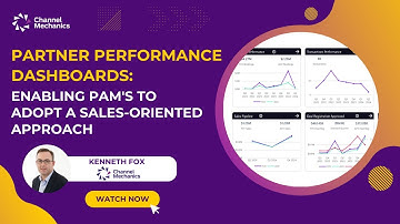 Partner Performance Dashboards: Enabling a Sales-Orientated Approach by Channel Mechanics