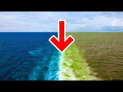 Video: Pse uji është nën tokë?
