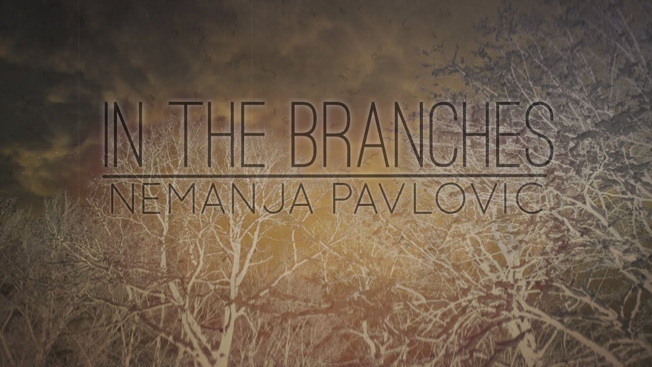 In The Branches - Nemanja Pavlovic (NP Guitar)