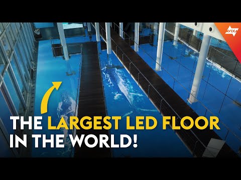 Barcelona&#39;s Aquarium has one of the biggest LED floors in the world!