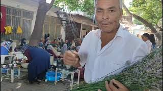 Başkan Akkan İle Gezende Dernek Başkan Yardimcisi Ali̇ Akdan Lavantaşenli̇ği̇ İptal İle İlgi̇li̇açiklama