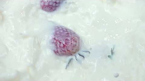 Fresh Strawberries Falling Into Cream in | Stock Footage - Envato elements