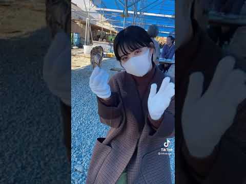 可愛すぎる彼女【うどんCP/僕の彼女はうどんです】