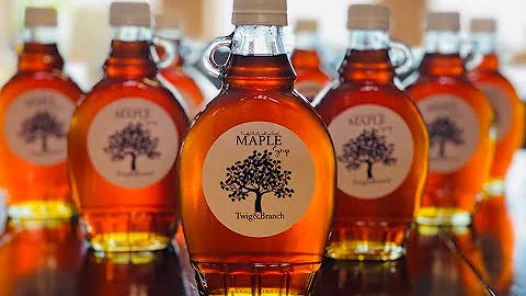 Maple Syrup making 2023