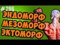 Типы телосложения. эктоморф, мезоморф , эндоморф