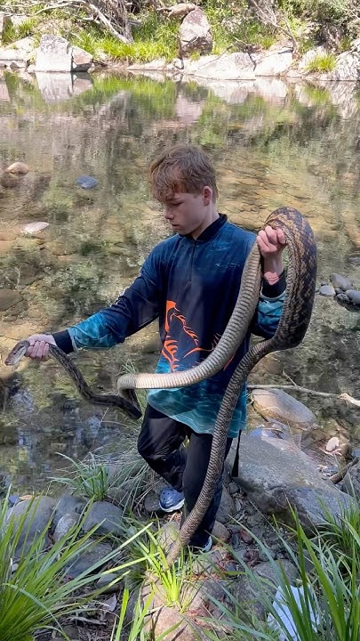 CATCHING a 4+ Meter PYTHON in the Jungle! - YouTube