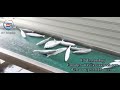 #frozenfood #freezer #spiral #jet #iqf #selfstacking #fish #seafood