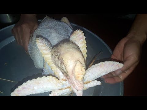 Video Các cách bó gà cúng đẹp và đơn giản nhất! - youtube