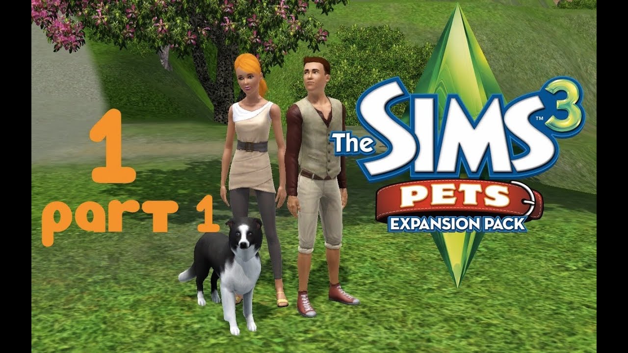 Симс петс. Симс 3 питомцы обложка. SIMS 3 питомцы ps3. Симс 3 питомцы приколы. Голуби симс 3.