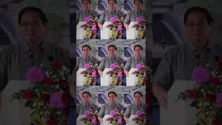 The Vietnamese Heartbeat - Vietnam Travel Guide