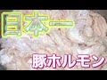 【ホルモン好き必見‼︎】ホルモンの教科書