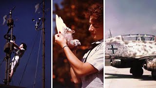 WW2 Through the Lens: Rare Photos of Victory and Courage
