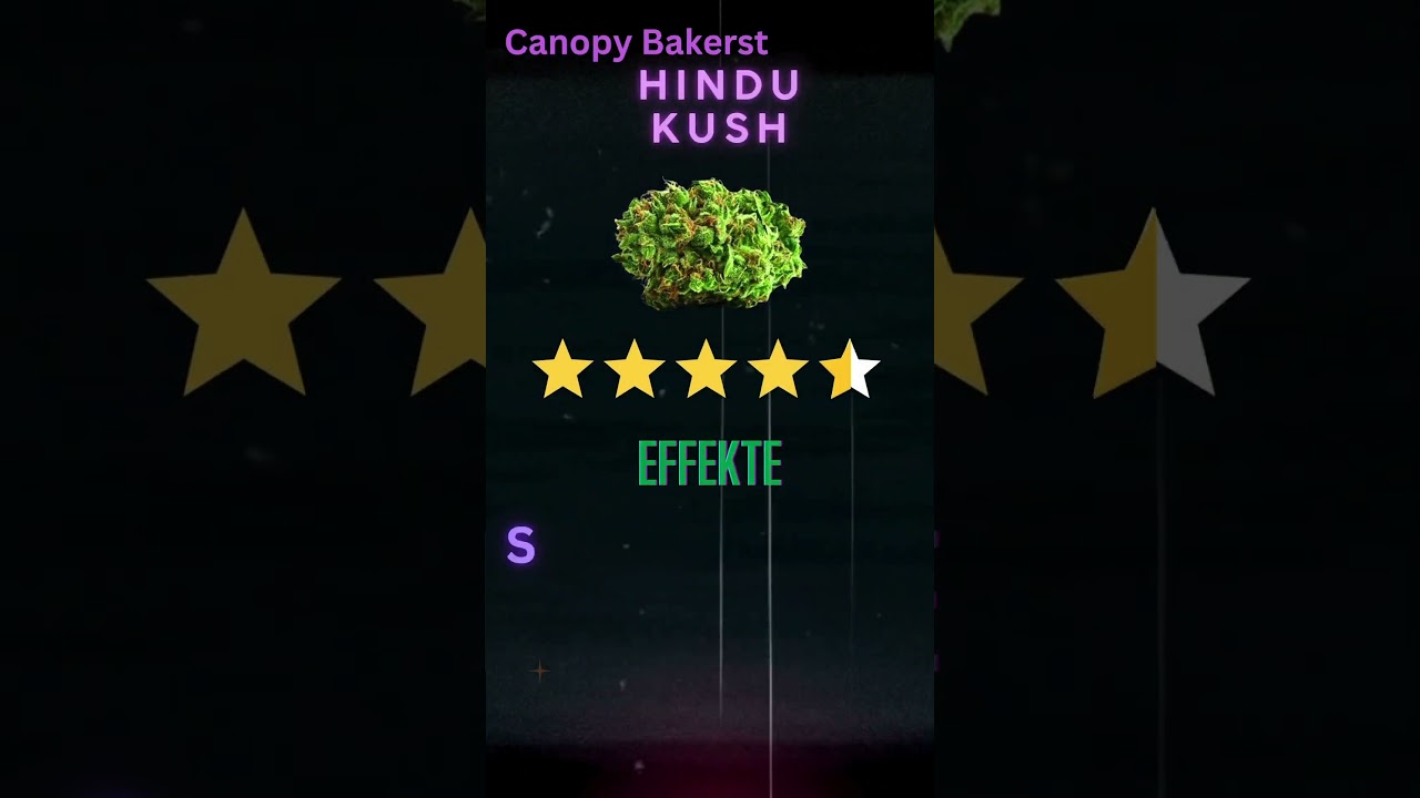 Hindu Kush – Indica-Strain des Tages! 