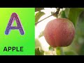 ABC Phonics Song | Alphabet letter sounds | ABC learning for toddlers | Education ABC Nursery Rhymes