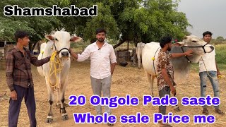 Reasonable whole sale Price Ongole Bulls For sale In Shamshabad  7989407391