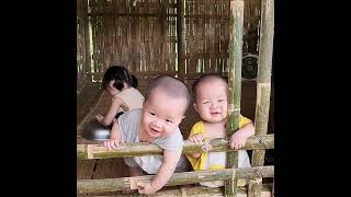 Information SINGLE MOTHER work hard to Raise 3 POOR CHILD in Rainy day Harvest Fish to sell - cooking, building Update