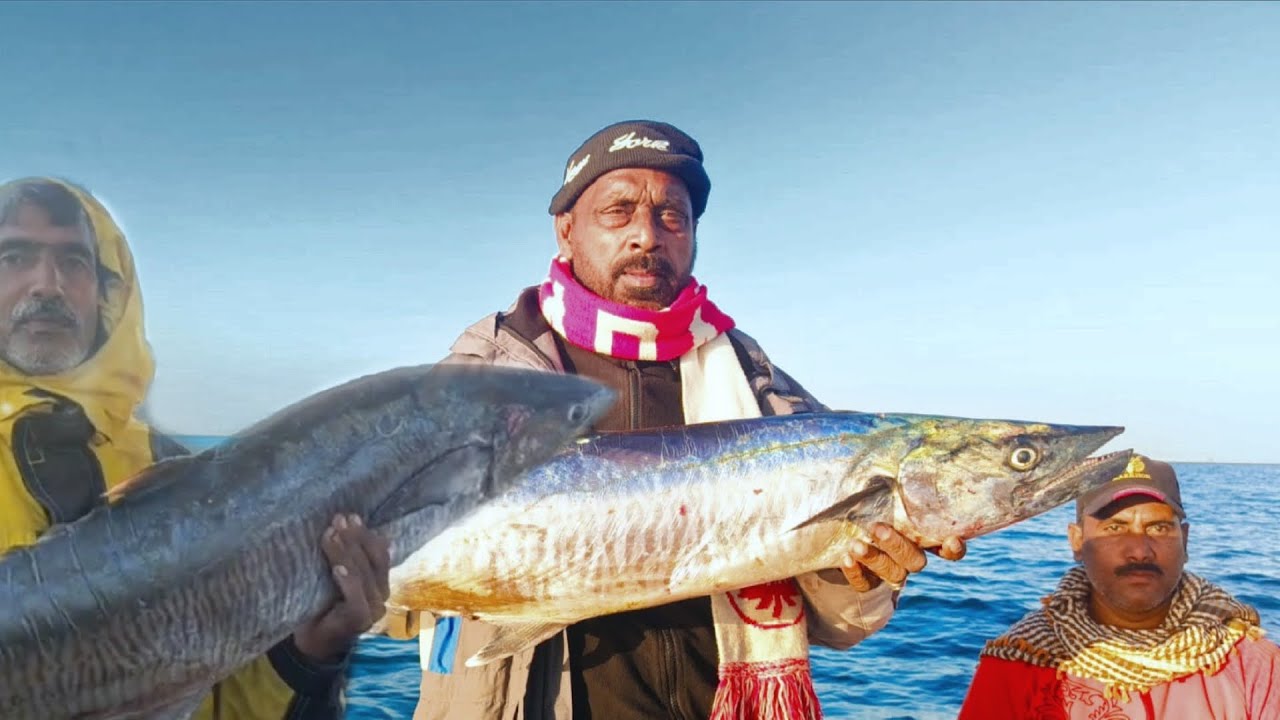 Charna island fishing in Karachi! Taru fishing Date:12/02/2026#subscribe #fishing #viralvideo