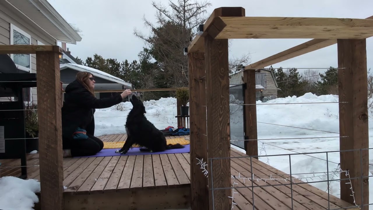 Ashley Reitmaier-Lesson 16.3, generalize portion of 10-behavior chain, enviro 2 