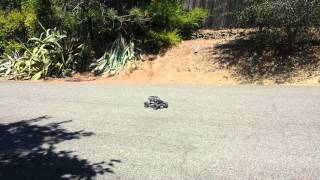 Axial Wraith w/RC4WD AX2 2speed transmission