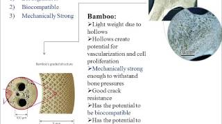 Natural and Biological Scaffolds for Bone Tissue Engineering By: Veena Sanmugananthan
