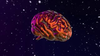 INTELLECTUAL ASCENSION