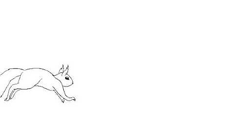 squirrel run cycle animation