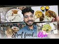 MEETING OLIVE FOR FIRST TIME & TRYING FAMOUS DELHI STREET FOODS! 🤤😍 || HYDRA ALPHA VLOGS!