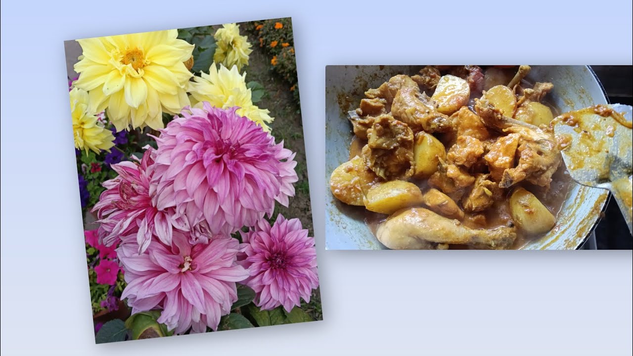 ছুটির দিনে বাঙালি বাড়িতে মাংসর ঝোলের তুলনা হয়না,কালকে দিদিভাইয়ের সাথে দেখা করে খুউব ভালো লাগলো 😋