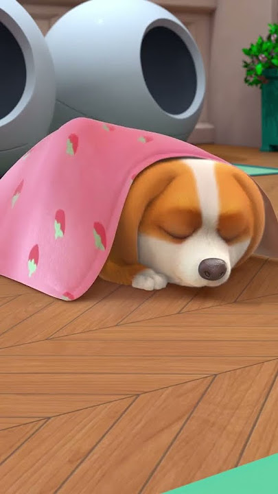 The fart 🙈 #moco #mocoandyummy #pet