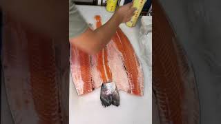 Salmons slides