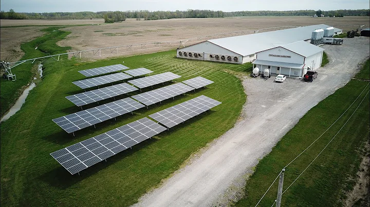 Solar Powered hog farm pays dividends