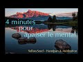 Mditation guide  handpan  4 minutes pour apaiser le mental