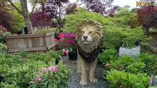 கனடாவில் நாங்க இங்க தான் மரம் வாங்கினோம் | Garden Centre in Canada | Cedar Rim Nursery - Langley, BC