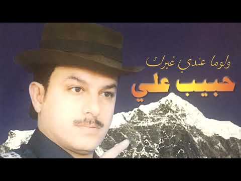 حبيب علي لو ما عندي غيرك