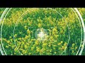 Moke Tore Pasand U Tik Tok Wali ट क ट क वल Nagpuri Video Songs Singer Sujit Minj Nagpuri Songs 