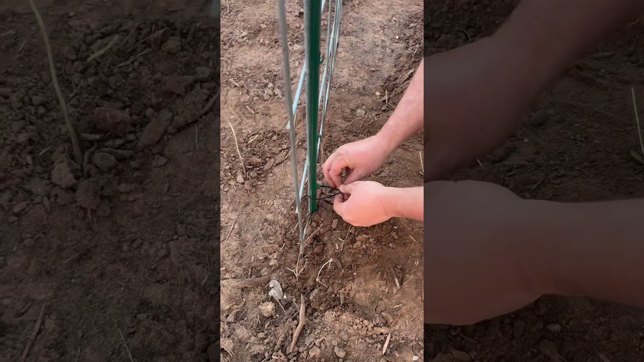 Uploads from From Seed to Spoon Garden Planning App