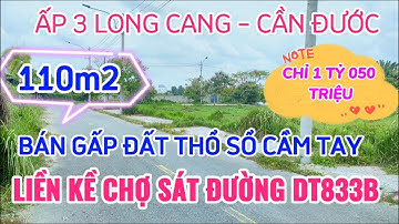 KDC LONG CANG SÁT CHỢ GIÁ THẤP NHẤT KHU VỰC DÂN CƯ HIỆN HỮU