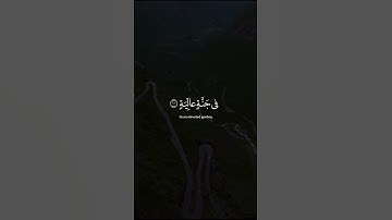 ارح سمعك وقلبك بهذة التلاوة الخاشعة 😴🤍|حالات واتس اب قران ☁❤️|ستوريات قران🌧️💚|القارئ عبد الرحمن مسعد