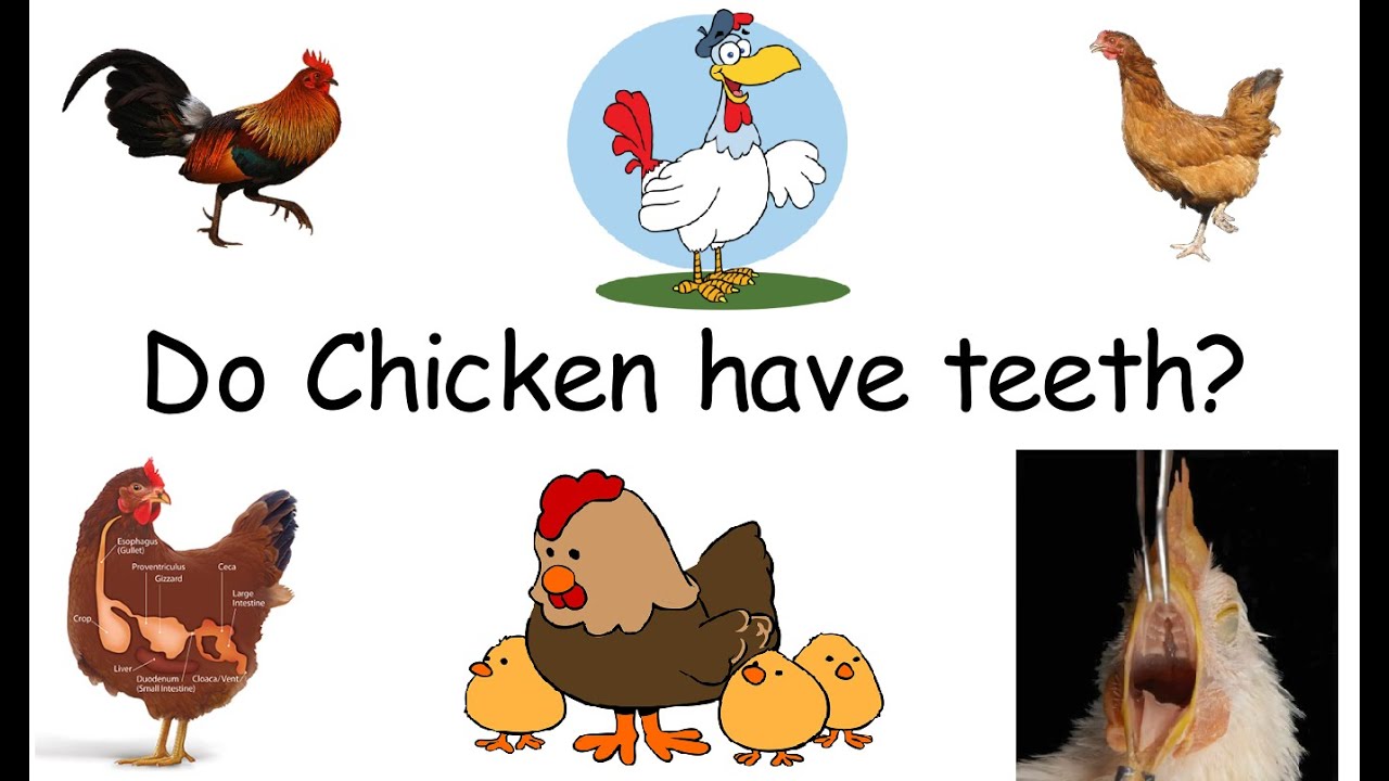 Gas usually filled in Electric Bulb is ? l Interesting GK l Facts_IAS