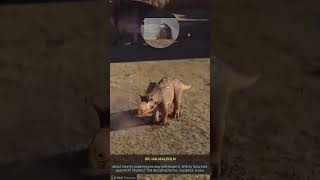 My Reaction To The New Baby Dinosaurs In Jwe 3 Cutest Thing Ever