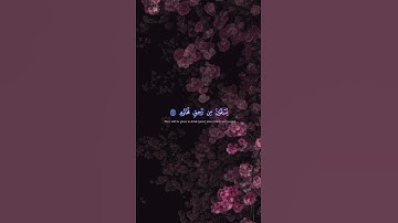 ﴿تَعۡرِفُ فِی وُجُوهِهِمۡ﴾ | القارئ محمد صديق المنشاوي #قرآن #اكسبلور #المصحف.