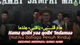 Hama Qolbi lirik   terjemah (Hatiku Dahaga Penuh Rindu) Voc Gus Poo Feat Gus Yusrul