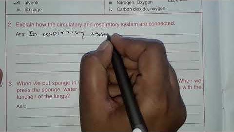 Class 5th | CBSE | Unit 2 | Oragan System and Diseases | WS 4