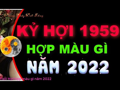 Tuổi Hợi Năm 2022 Hợp Màu Gì - Tuổi Kỷ Hợi 1959 hợp màu gì 2022 để mang đến TÀI LỘC