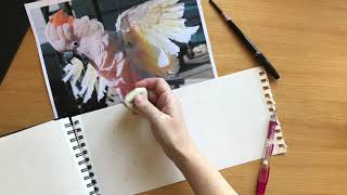 Moluccan Atoo In Pencil