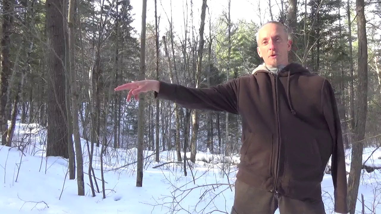 Deer Walking -- an easy method to develop more "woods stealth"