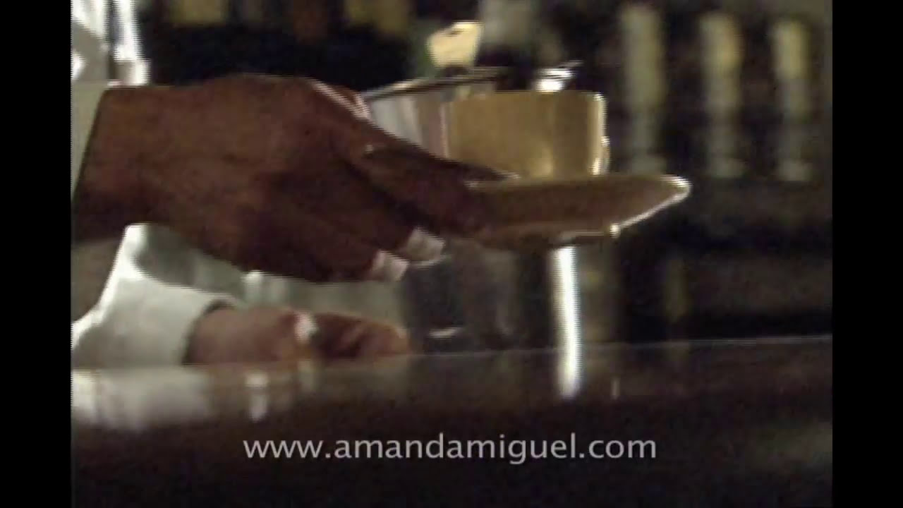 Amanda Miguel - Lluvia en Nueva York ( Video Oficial )